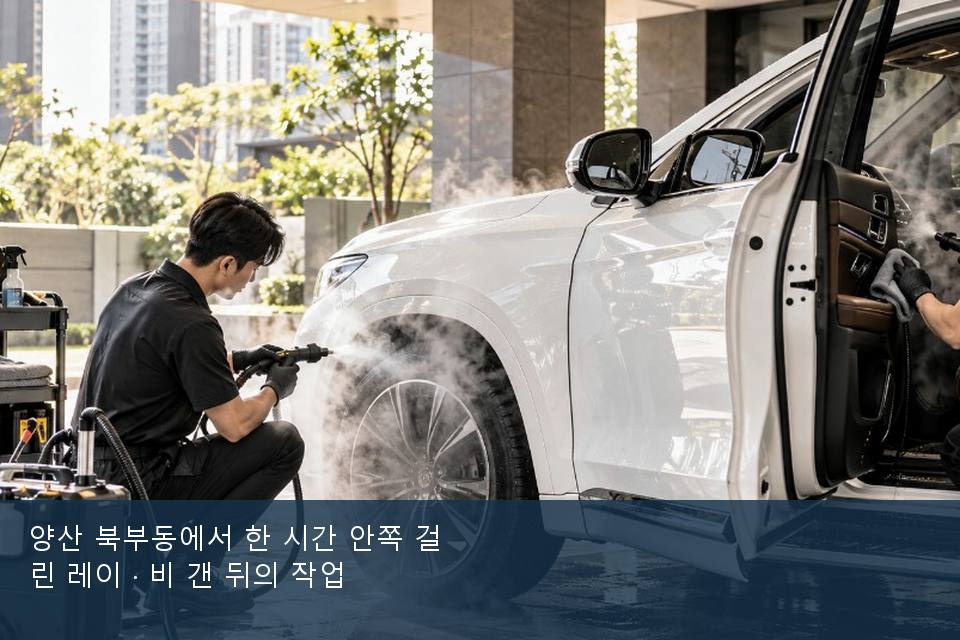 양산 북부동에서 한 시간 안쪽 걸린 레이 · 비 갠 뒤의 작업