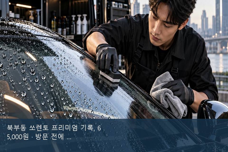 북부동 쏘렌토 프리미엄 기록, 65,000원 · 방문 전에 확인한 것